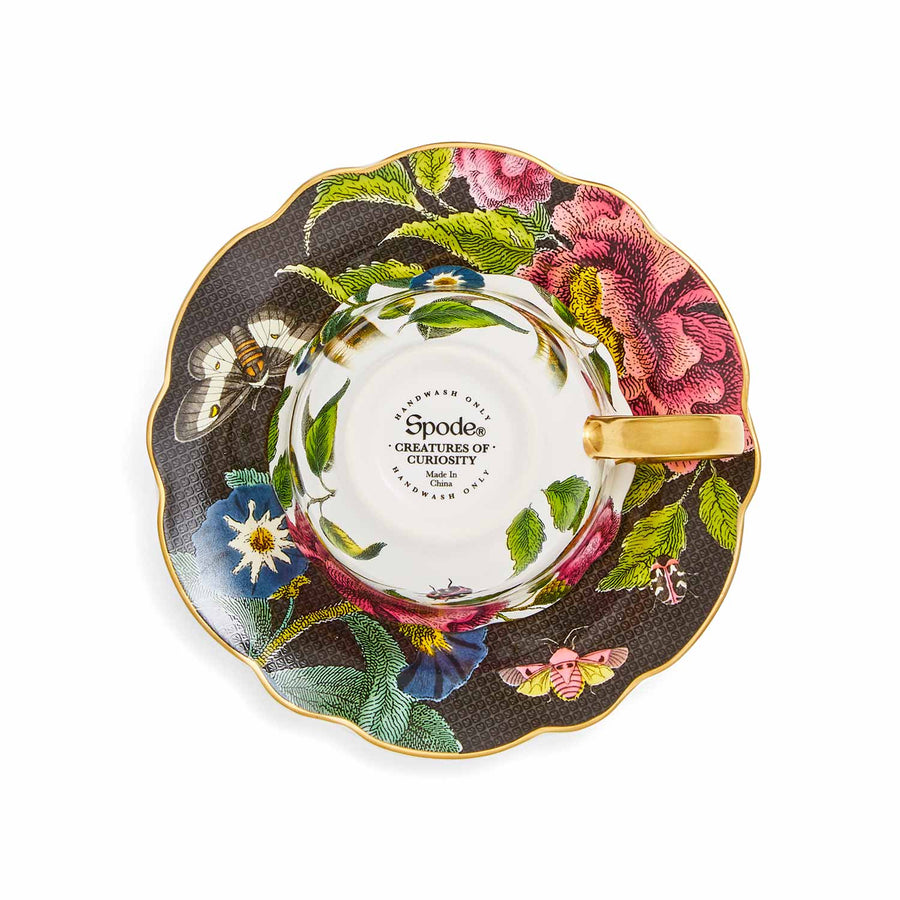 Creatures of Curiosity Black/Snake Teacup & Saucer