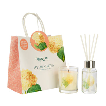 Wax Lyrical RHS Gift Set, Hydrangea