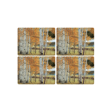 Pimpernel Birch Beauty Placemats, Set of 4