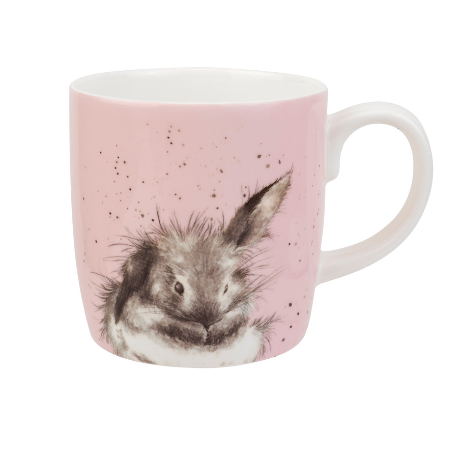 Royal Worcester Hannah Dale Wrendale Designs Bathtime Mug 