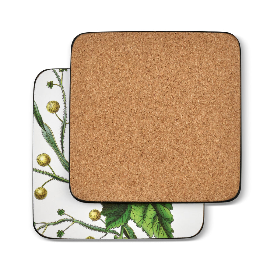 Pimpernel Stafford Blooms Coasters, Set of 6